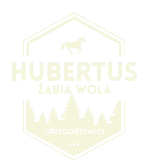 Logo Hubertus Żabiowolski